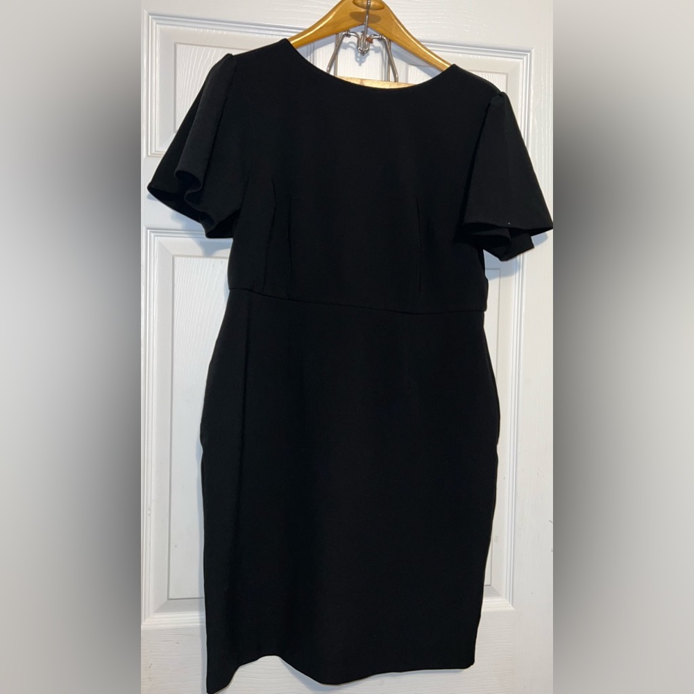 Lark & Ro Women's Fluid Crepe Flutter Short Sleeve Boat Neck Sheath Dress Sz 14